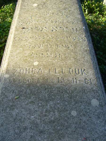 Stèle de ELLOUK Zohra