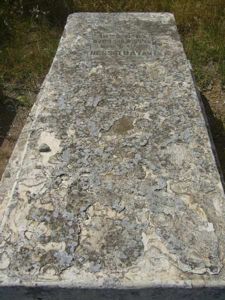 شاهدة قبر DAYAN Nessim