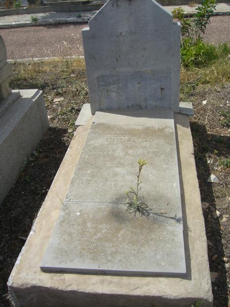 ZRIHEN Moshe 的墓碑