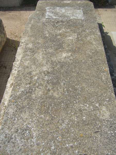 شاهدة قبر DAYAN David
