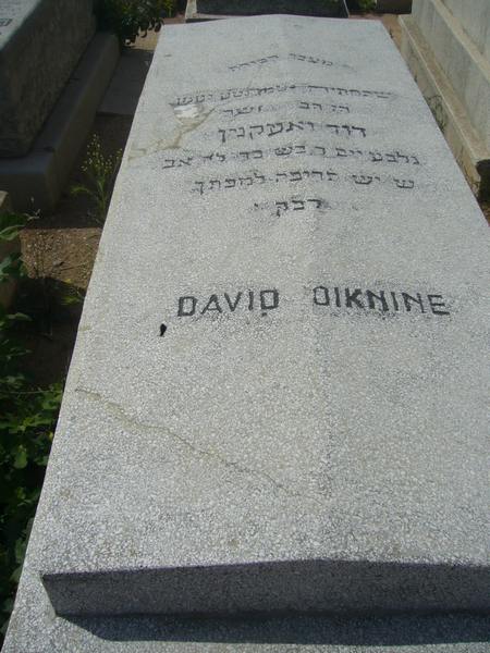 Stèle de OIKNINE David