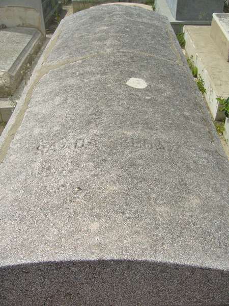 Estela de ELBAZ Saada