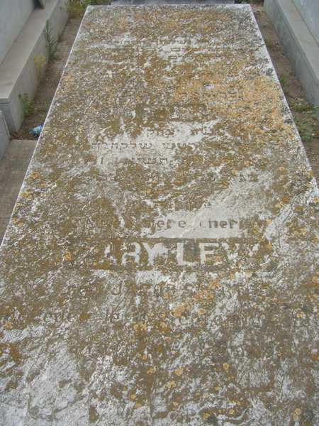 شاهدة قبر LEVY Zary