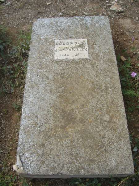 Estela de AMSELLEM Abner