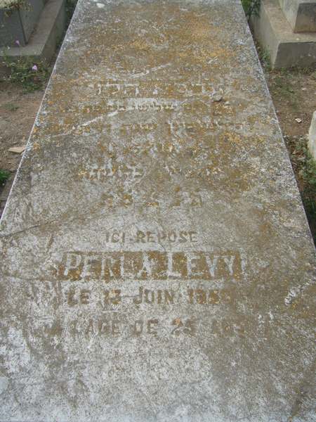 מַצֵּבה פון LEVY Perla