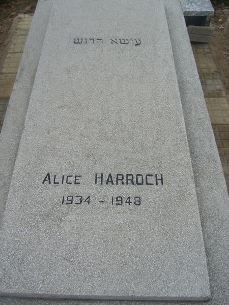 מַצֵּבה פון HARROCH Alice