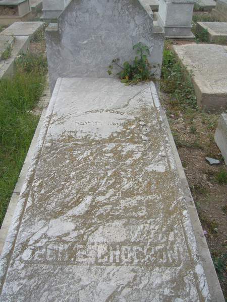 Estela de CHOCRON Perle
