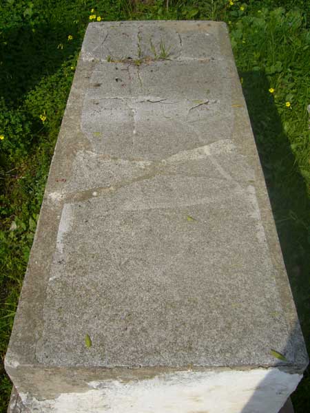 Grafsteen van FEDIDA