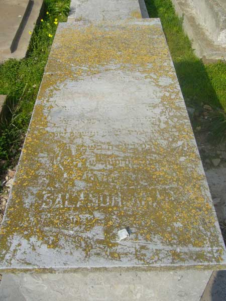 מַצֵּבה פון AMAR Salomon