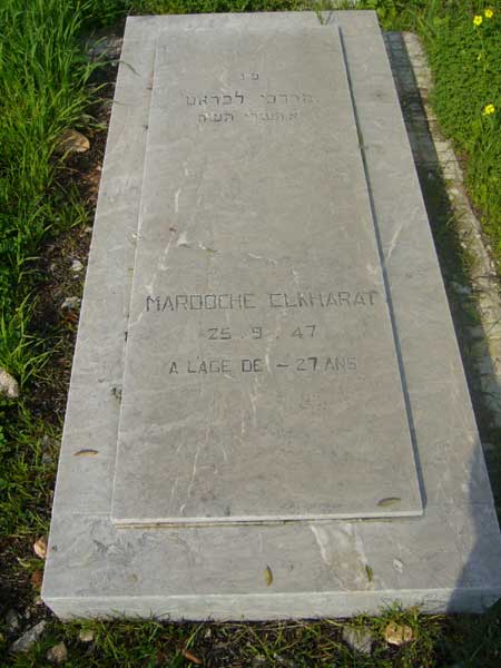 Estela de ELKHARAT Mardoche