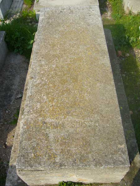 Tombstone of SUISSA Levy