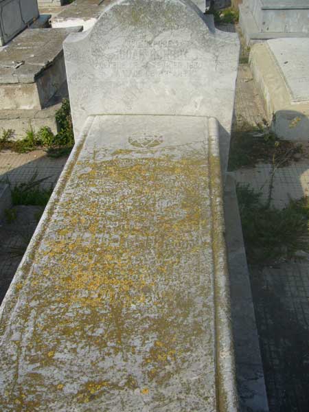 מצבת BOHBOT Judah
