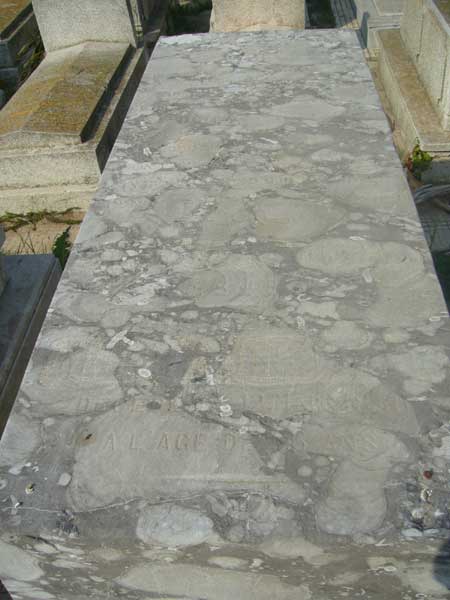 Grabstein von BEN… Albert