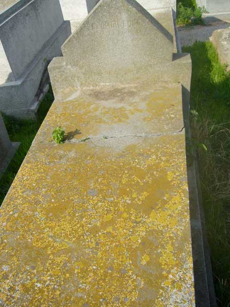 Grafsteen van DODO Salomon