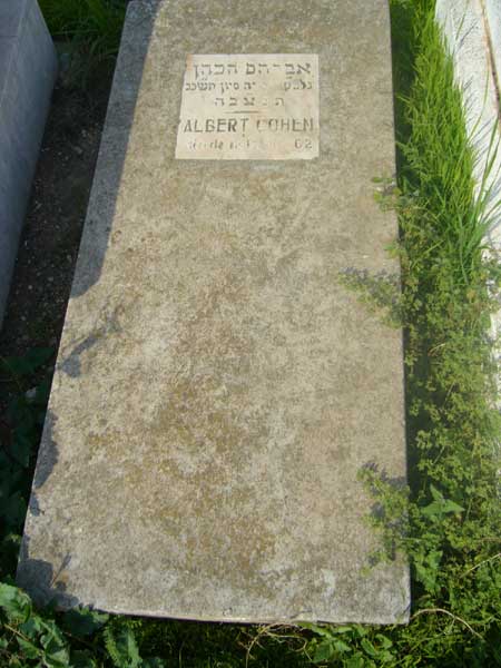 Надгробие COHEN Albert