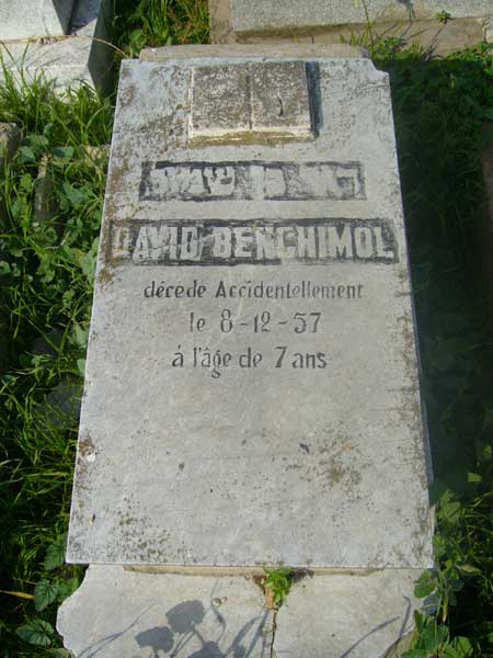 BENCHIMOL David 的墓碑