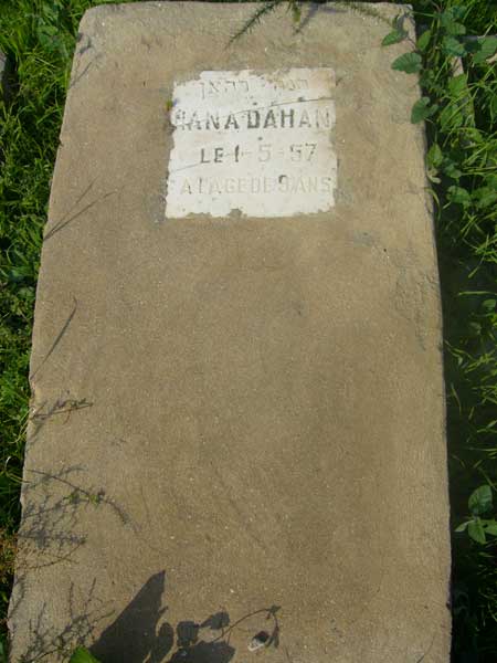 DAHAN Hana 的墓碑