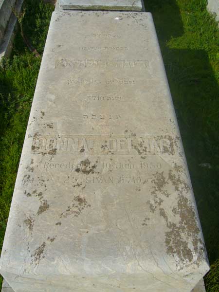 Grafsteen van DELMAR Donna