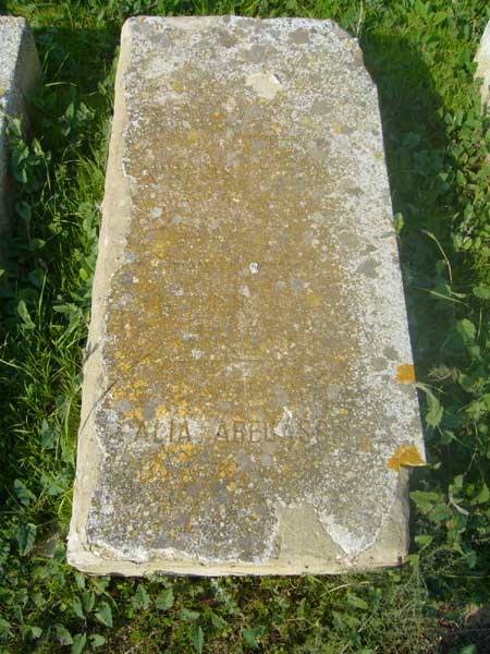 Tombstone of ABECASSIS Alia