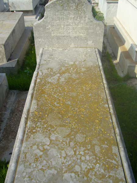 מַצֵּבה פון FRANCO Meryam