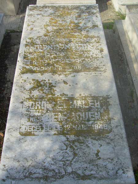 Estela de ELMALEH Oro