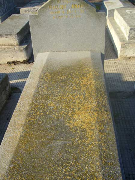 Estela de AMAR Maklouf