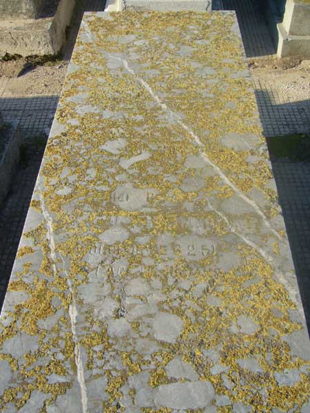 מַצֵּבה פון OHNONA Salomon