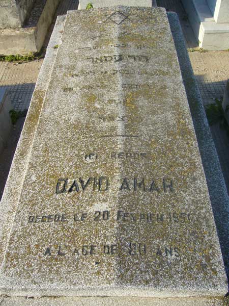 Estela de AMAR David