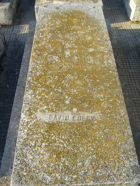 EDERY David fejfája