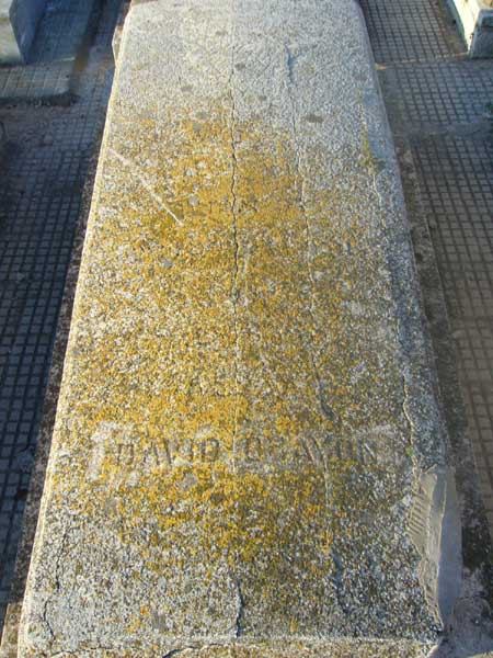 מַצֵּבה פון OHAYON David