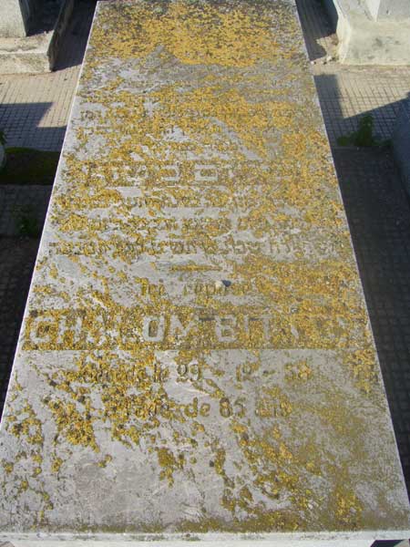 BITTON Chalom 的墓碑