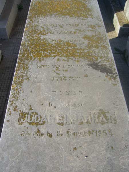 Estela de ELJARRAT Judah