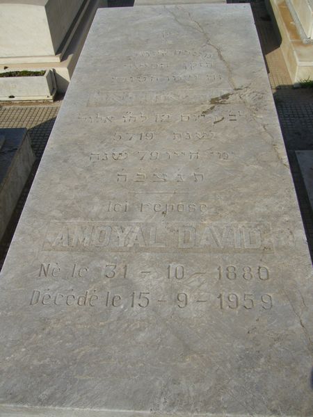 מצבת AMOYAL David