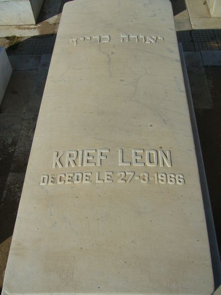 شاهدة قبر KRIEF Leon