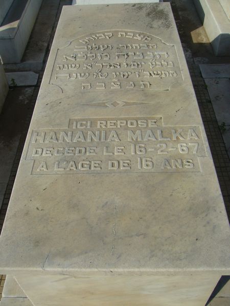 מצבת MALKA Hanania