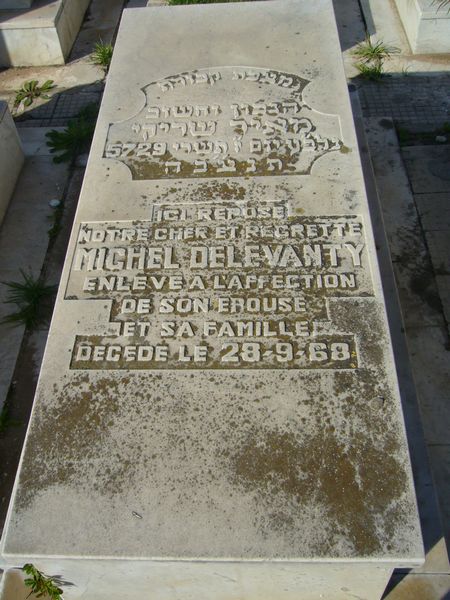 Grafsteen van DELEVANTY Michel Meyer