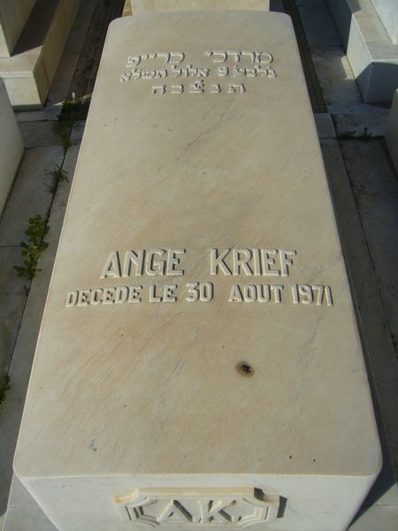 شاهدة قبر KRIEF Ange