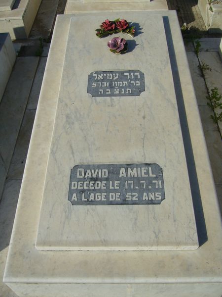 Tombstone of AMIEL David