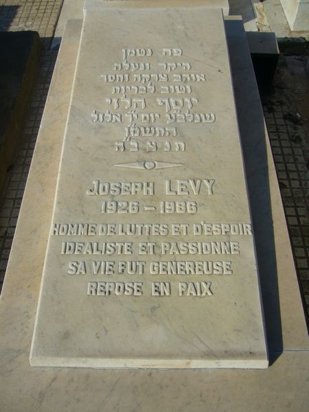מַצֵּבה פון LEVY Joseph