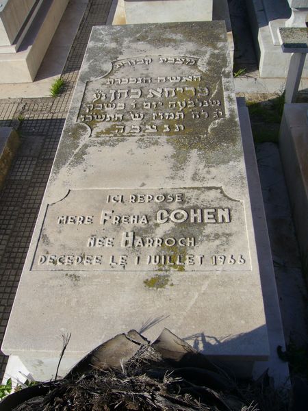 شاهدة قبر COHEN Freha