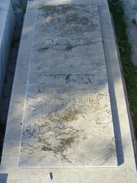 Grabstein von PINTO Moses