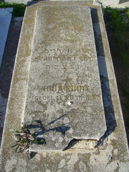 Tombstone of RUIMY Zioua