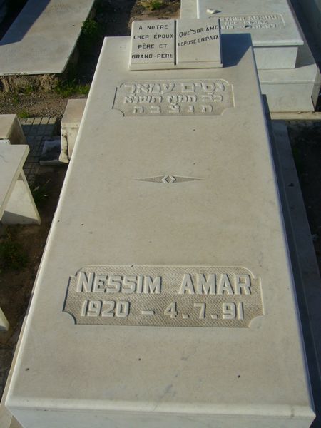 Estela de AMAR Nessim