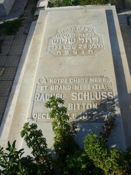 מצבת SCHLUSS Rachel