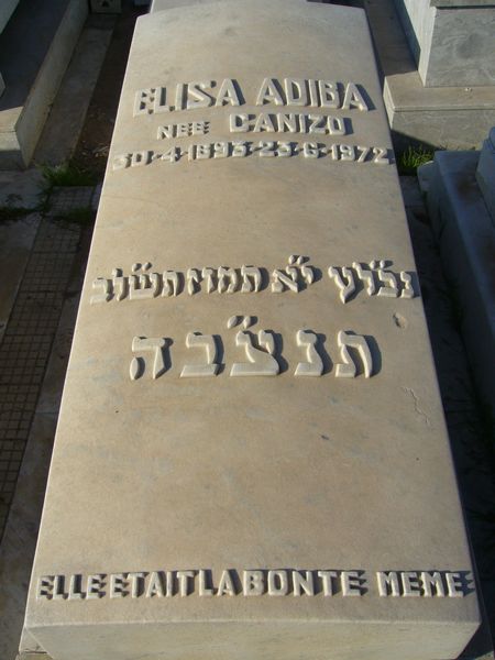מצבת ADIBA Elisa