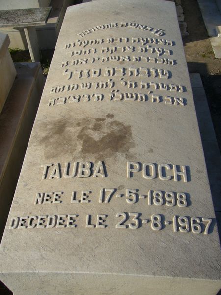 POCH Tauba 的墓碑
