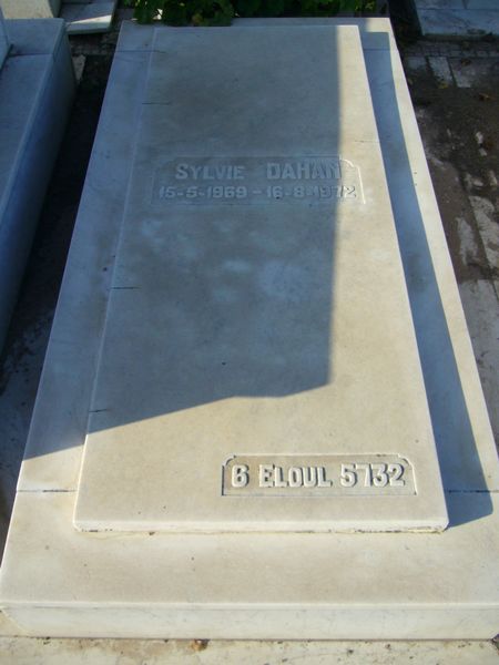 Grabstein von DAHAN Sylvie