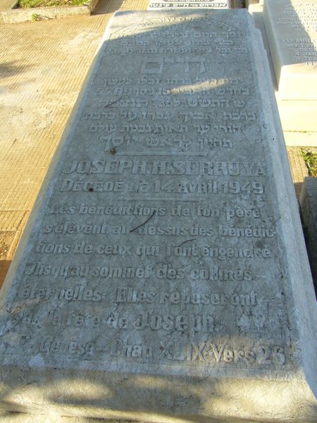 מַצֵּבה פון SERRUYA Joseph H.