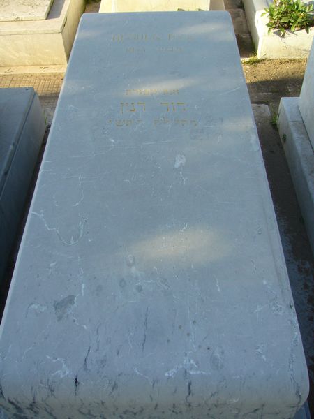 شاهدة قبر DENOUN David