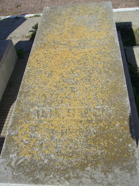 Grabstein von DANON Alia